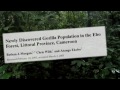 Ekwoge Abwe - Community protection of the great apes of Ebo Forest, Cameroon