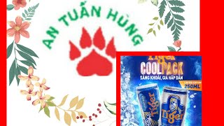 Tiger Beer Coolpack 250 Ml