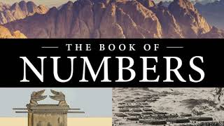 Numbers Part 4