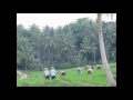 Bali Eco-stay