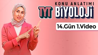 Canlıların Çeşitliliği Ve Sınıflandırılması-1- 14.Gün - 1.Video 32 Günde Tyt Biyoloji Kampı