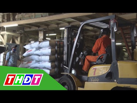 Đồng Tháp: Hiệu quả phong trào thi đua Lao động giỏi, lao động sáng tạo | Lao động Công đoàn | THDT