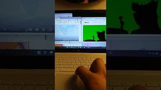 Timon And Pumbaa Interrupt 7 Snowdrop