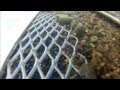 Watch Gold Dredge Sluice Box IN ACTION! Video