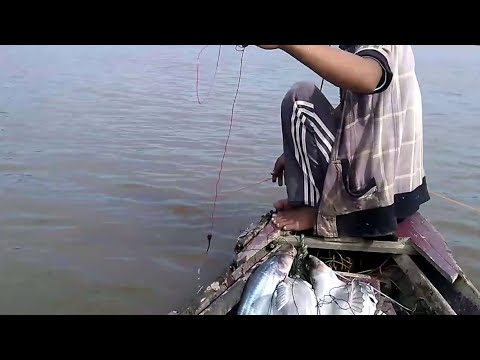 PASANG RAWAI LINTANG di dasar sungai dapat ikan yang bermacam macam
