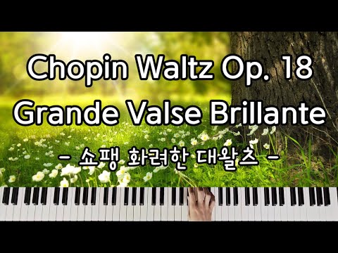 Chopin Waltz Op. 18 Grande Valse Brillante(쇼팽 화려한 대왈츠)