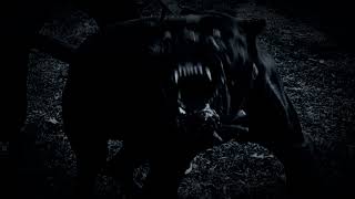 Trentwins - Fear Slowed Reverb