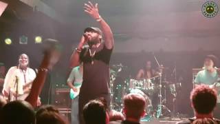 Watch Tarrus Riley My Herbs video