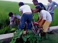 image Lucu Drag Indramayu Motor Masuk Parit