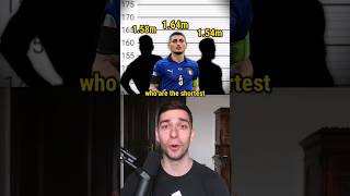 PyRIFiTHVV4 Video Image