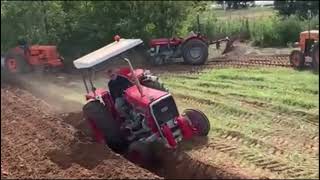 Om 50 Vs Mey Ferguson 275 & 135 Aratura Spettacolare Tra Leggende Agricole