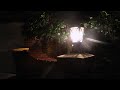 Kidz Squad Squabble! HeroForce vs The White Hat Game Master Nerf Battle Royale! Kidz Squad Squabble! HeroForce vs The White Hat Game Master Nerf Battle Royale!