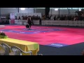 CACIB 2013, Karo mit Neva