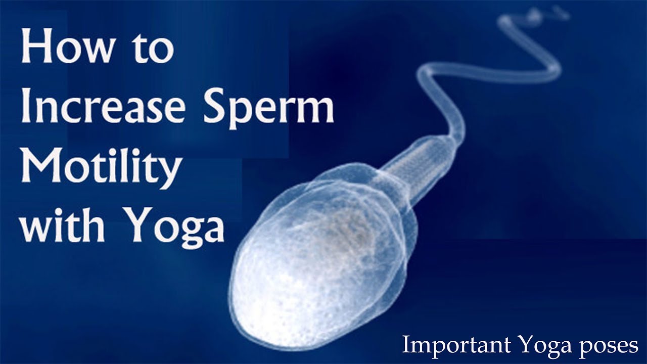 Naturally increase sperm amounts