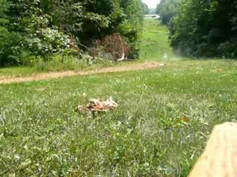 1998 Honda 300ex for sale or trade. 1998 Honda 300ex for sale or trade 1998 Honda 300ex for sale or trade. 1998 Honda 300ex for sale or trade