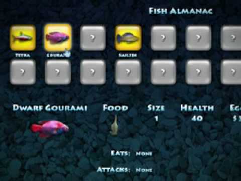 Video of game play for FishCo