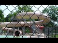 Galesburg IL video: Lake Storey - Galesburg, Illinois