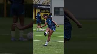 PzCmuiPbgLU Video Image