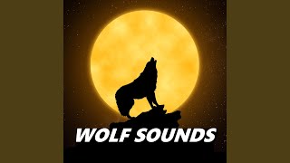 Wolves Howling