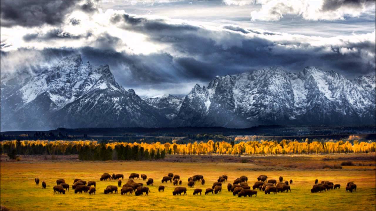 National geographic annual photo contest National geographic annual photo contest