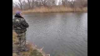 Видео о рыбалке №352
