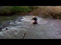 Tornado 250 e CRF 230 atravessando Rio - Trilha Erechim RS