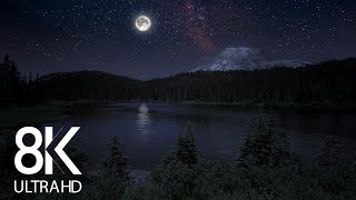 10 HRS of Nighttime Nature Soundscapes (Lake Waves, Cicadas, Crickets) - 8K Ench