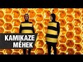 Szomszédnéni: Kamikaze méhek