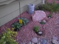 My Las Vegas "victory/survival" front yard garden
