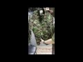 YouTube YouTube
