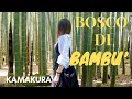 Visita a KAMAKURA - al tempio HOUKOKU-JI