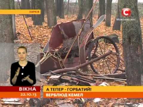 СТБ ГОСТ Р 52131 - 2007 СТБ ГОСТ Р 52131 - 2007