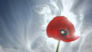 Watch Cara Dillon Where Are You video