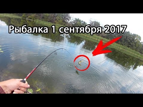 рыбалка в триполье рыбалка в триполье