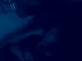 El pete de cim - youtube