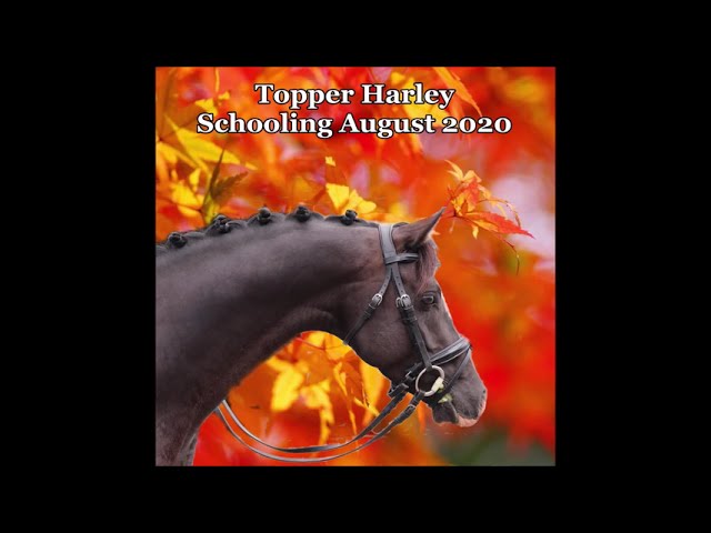 Topper Harley