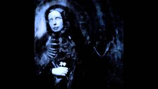Watch Cephalic Carnage Dying Will Be The Death Of Me video