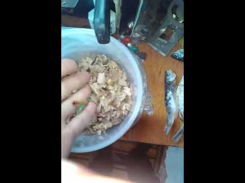 на что лучше клюет на реке на что лучше клюет на реке