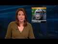 Escaped Chimp Attacks Police Car