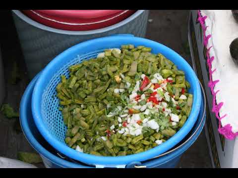 feria de los remedios 2011 comonfort gto.wmv