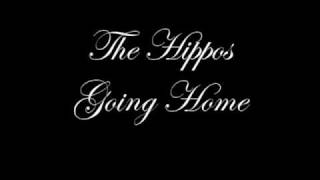 Watch Hippos Going Home video