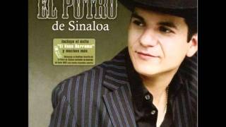 Watch El Potro De Sinaloa Voy A Buscar Un Amor video