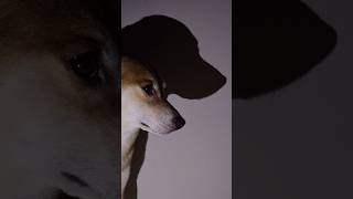 Effortless Shadow Dance