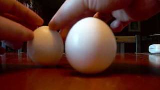 Eggtastic