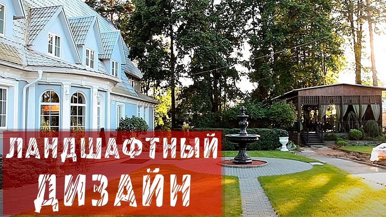 Долго ли варить лёгкое