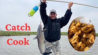 Huge Catfish On Jug Lines (Catch*Clean*Cook) Fried Catfish and Cooked My  Shrimp