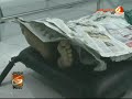 image Perahu Arung Jeram Di Batu Malang Terbalik Satu Tewas Tiga Hilang