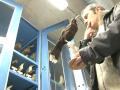 Paleontologists take the long view on climate change