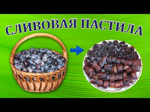 Как сделать пастилу из сливы на солнце