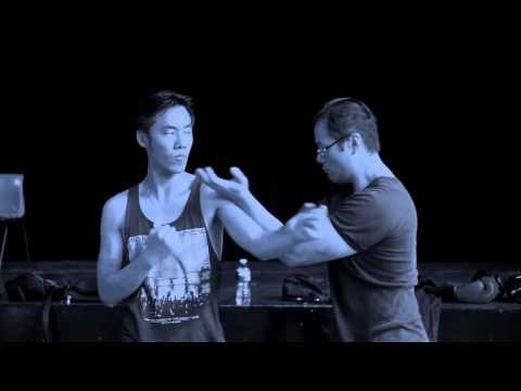 Wing Chun Cross Hands HD - VIKOGA